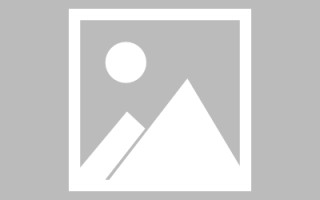 茌平山东网络网站搭建特点（山东网站建设app）